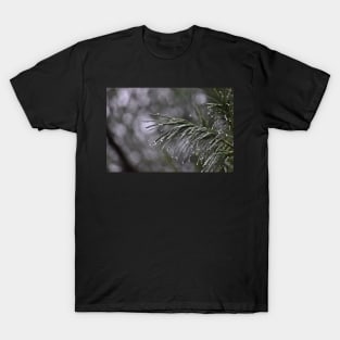 Pine Branch Border T-Shirt